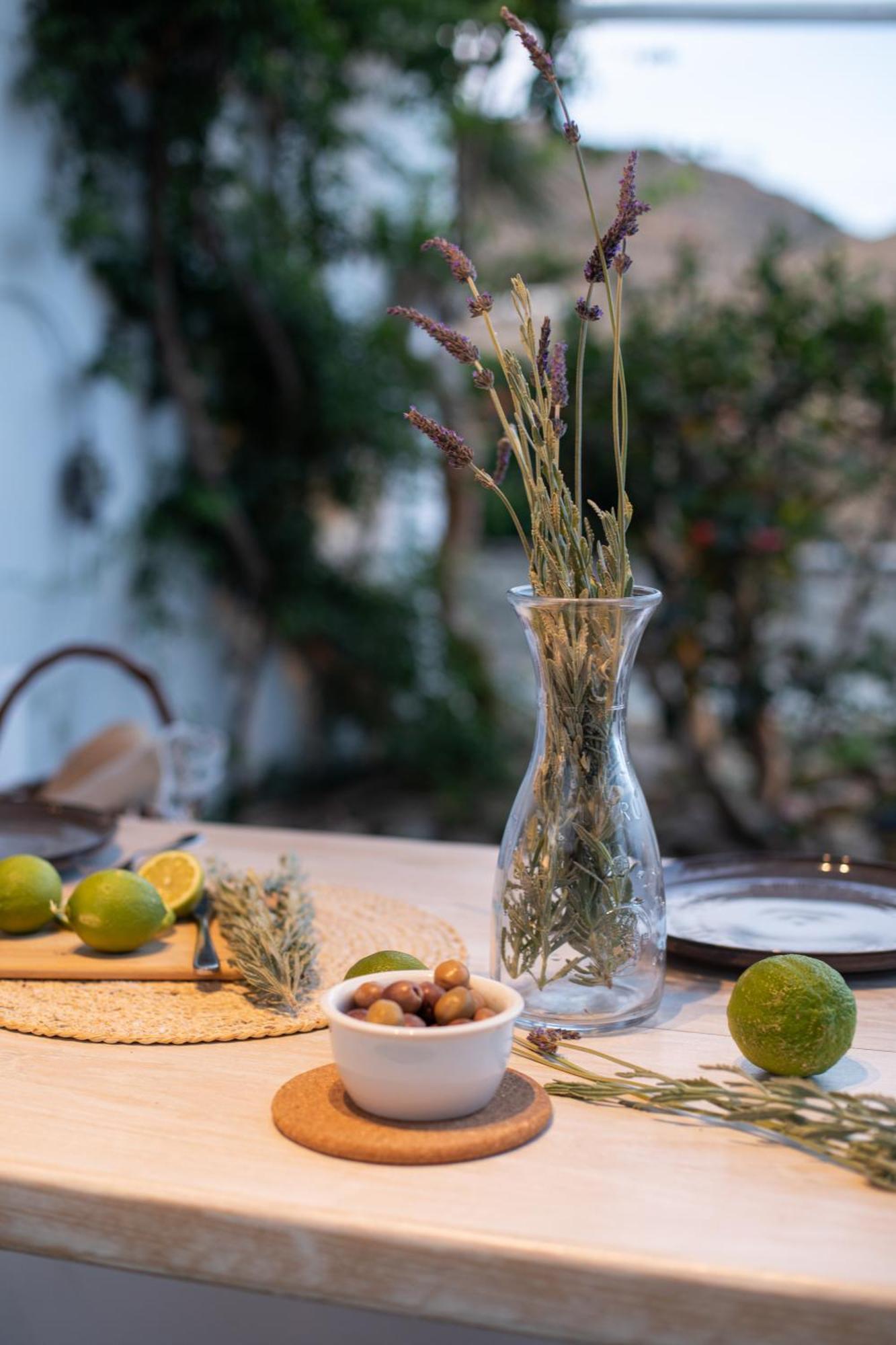 Levantes House Mykonos Ano Mera Dış mekan fotoğraf